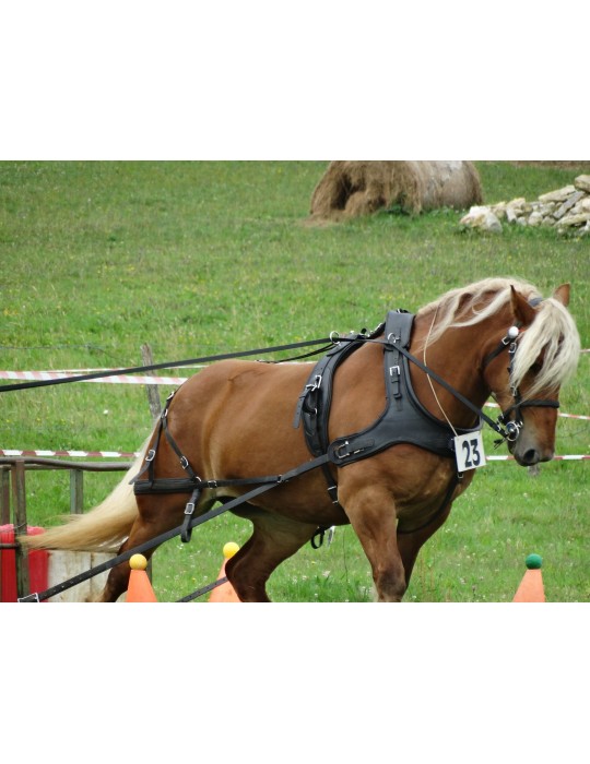 Harnais biothane trait SB – Sellerie Baude