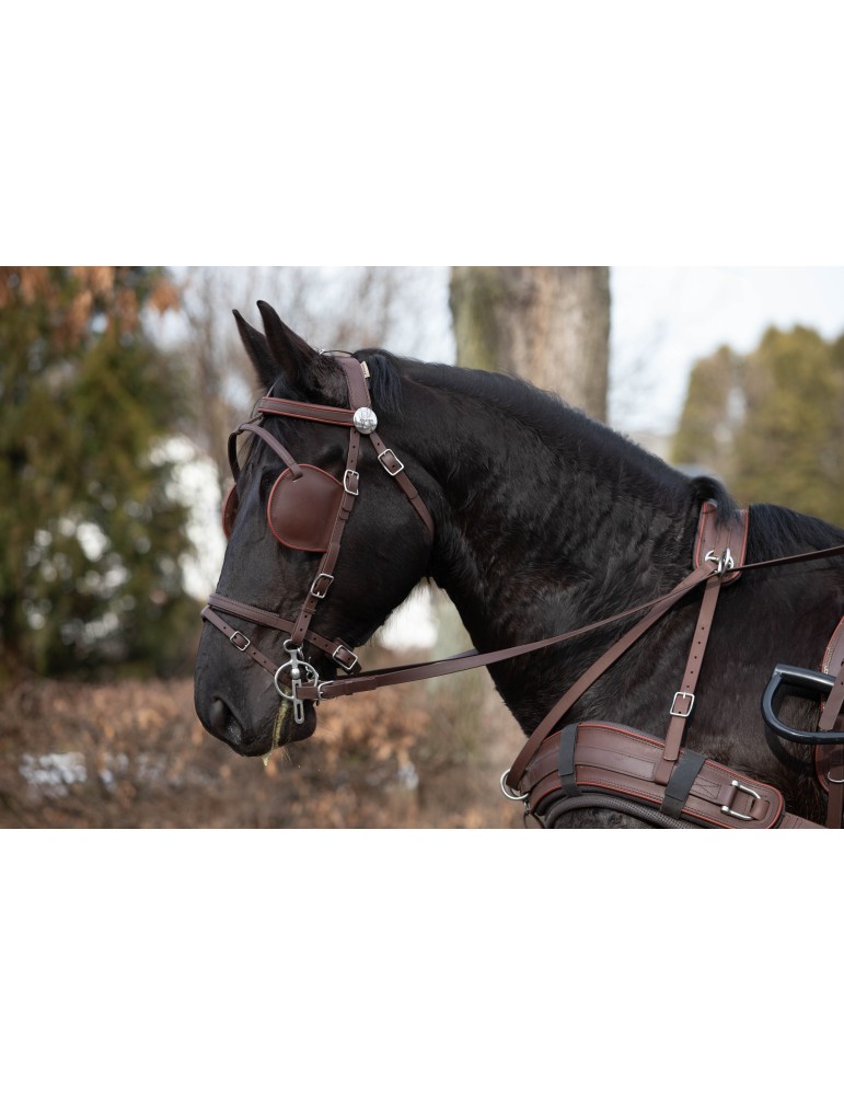 Harnais biothane trait SB – Sellerie Baude