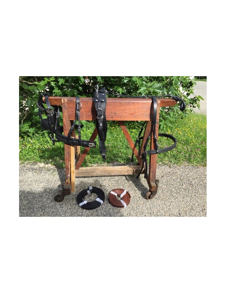 Harnais mini, shet, poney - SB