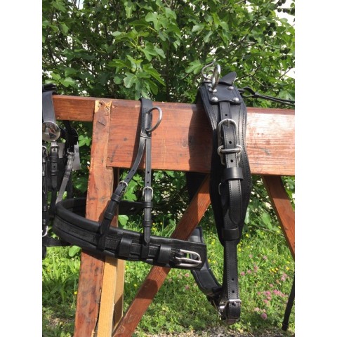 Harnais en simple minis, shetlands et poneys - SB 2