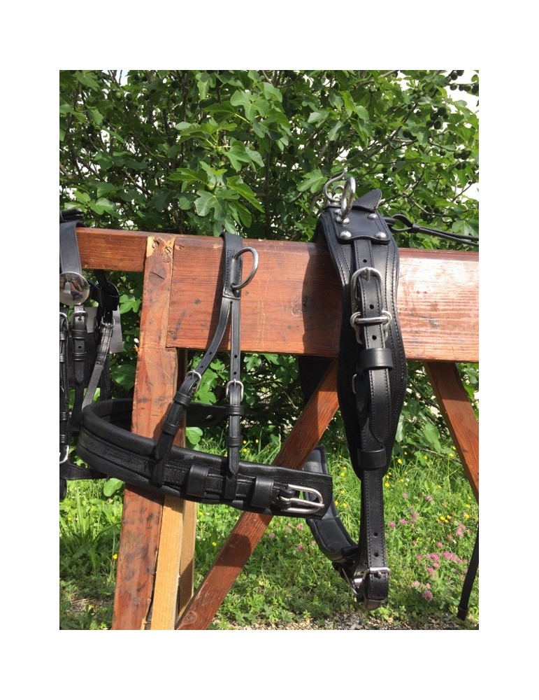 Harnais mini, shet, poney - SB