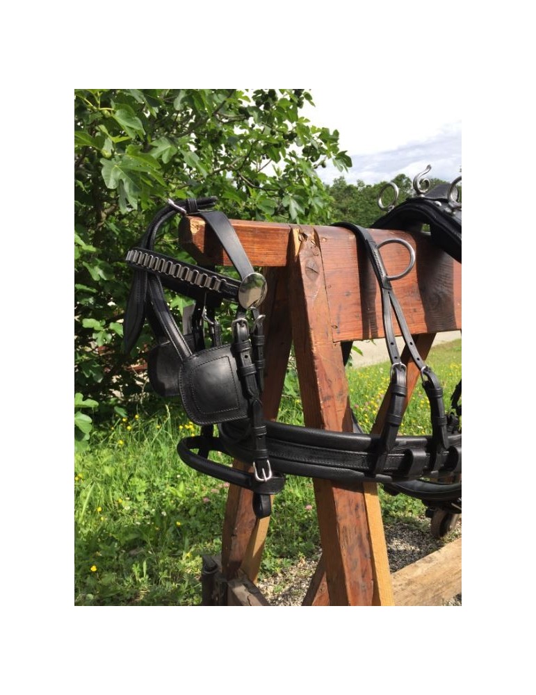 Harnais mini, shet, poney - SB