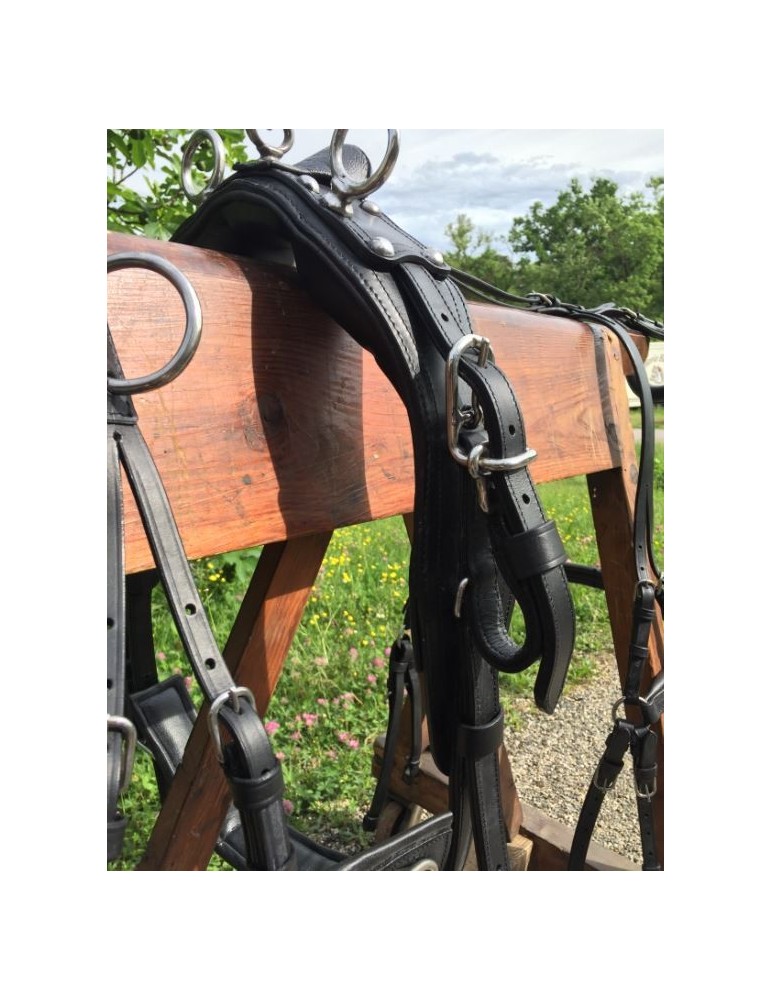 Harnais mini, shet, poney - SB