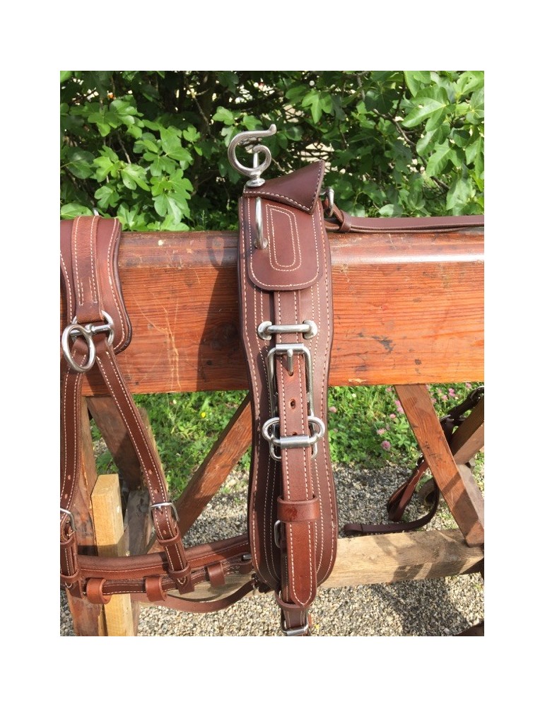 Harnais simple cuir doublé nylon SB