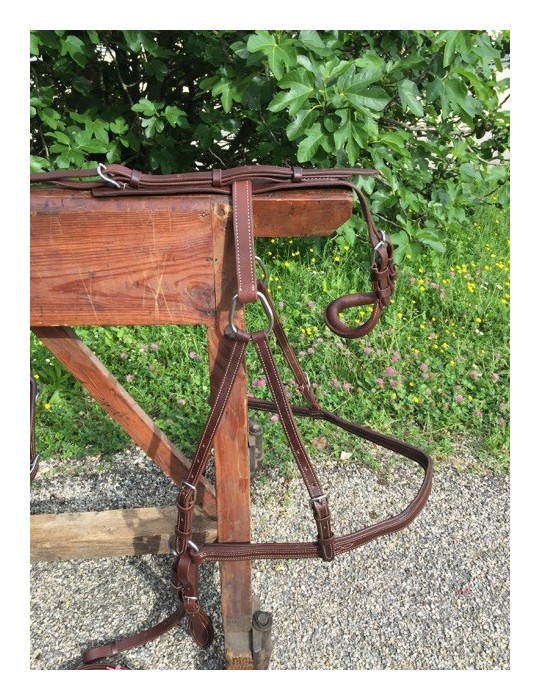 Harnais simple cuir doublé nylon SB