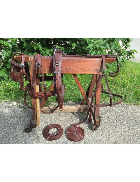 Harnais simple cuir doublé nylon SB Harnais simple cuir doublé nylon SB