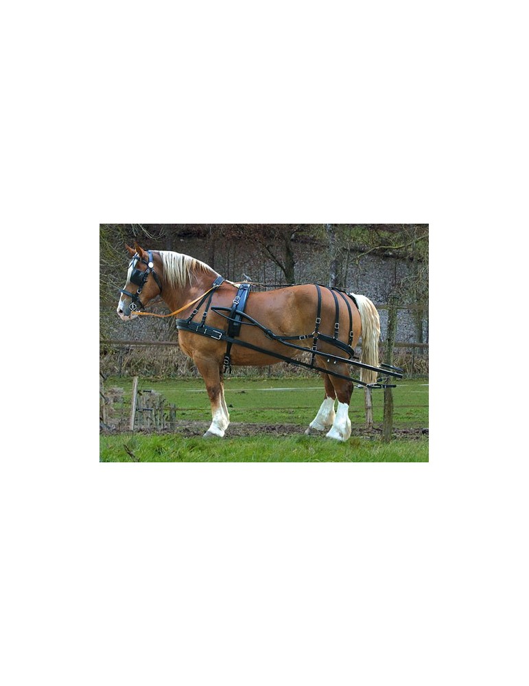 Harnais nylon doublé cuir