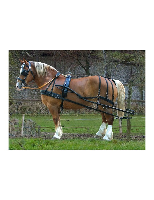 Harnais nylon doublé cuir