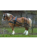 Harnais nylon doublé cuir