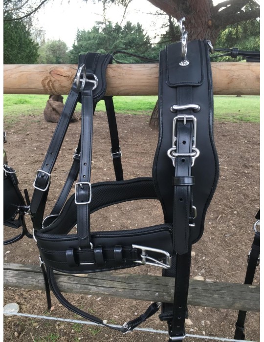 Harnais bioplastique en simple