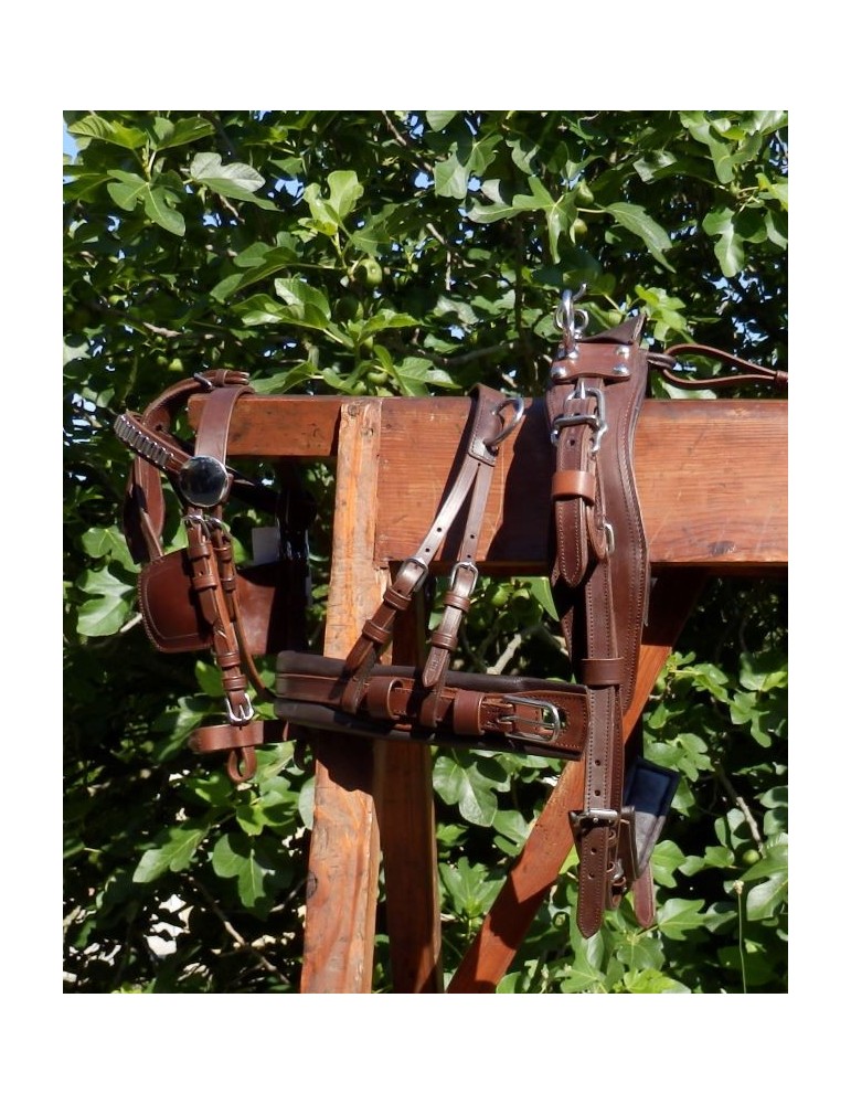 Harnais mini, shet, poney - SB