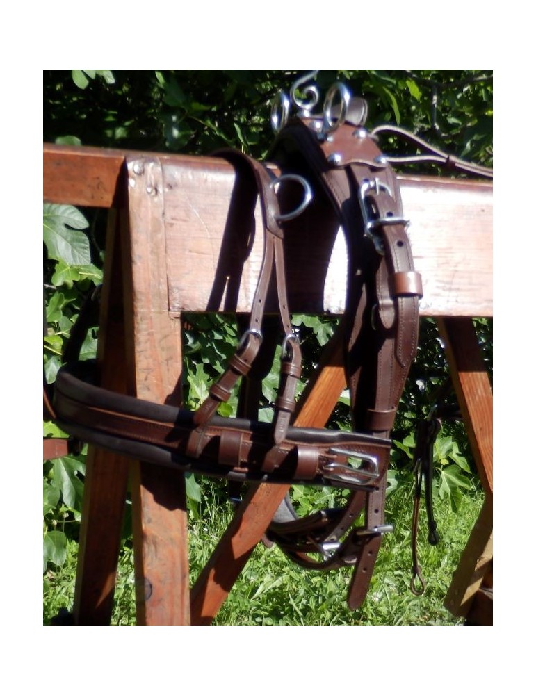 Harnais mini, shet, poney - SB