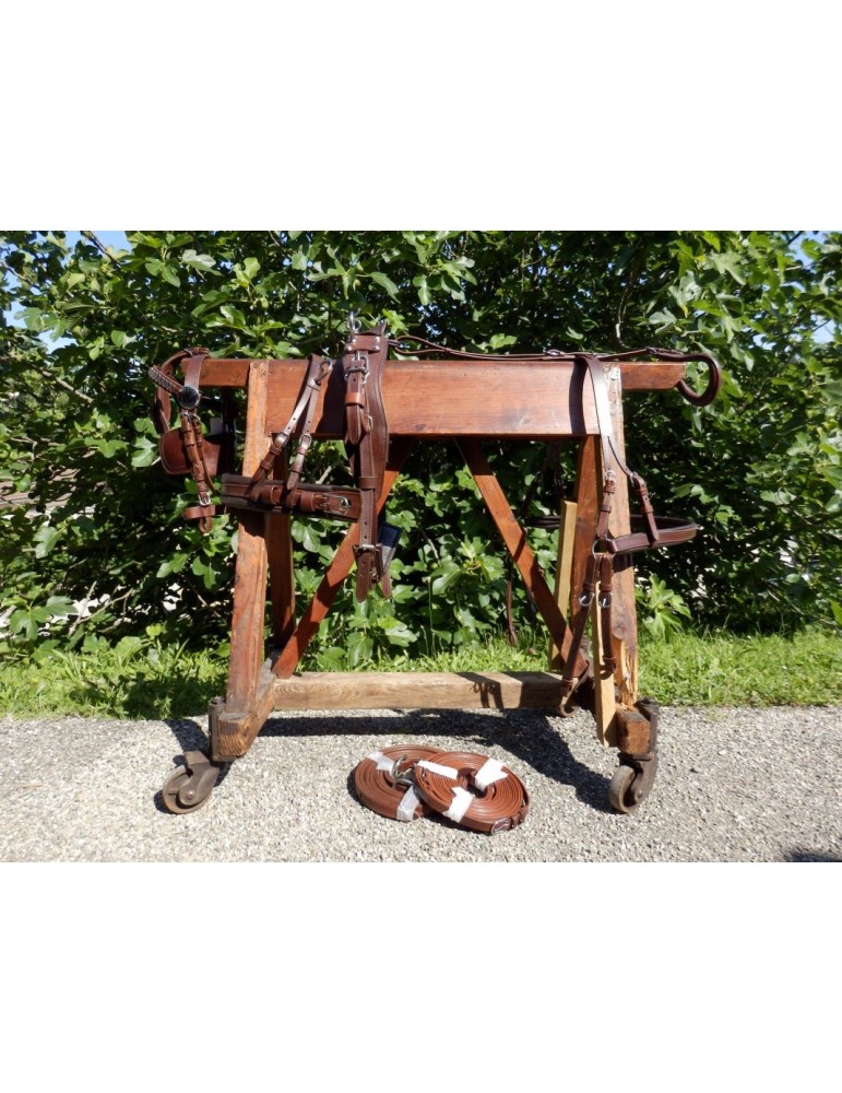 Harnais mini, shet, poney - SB