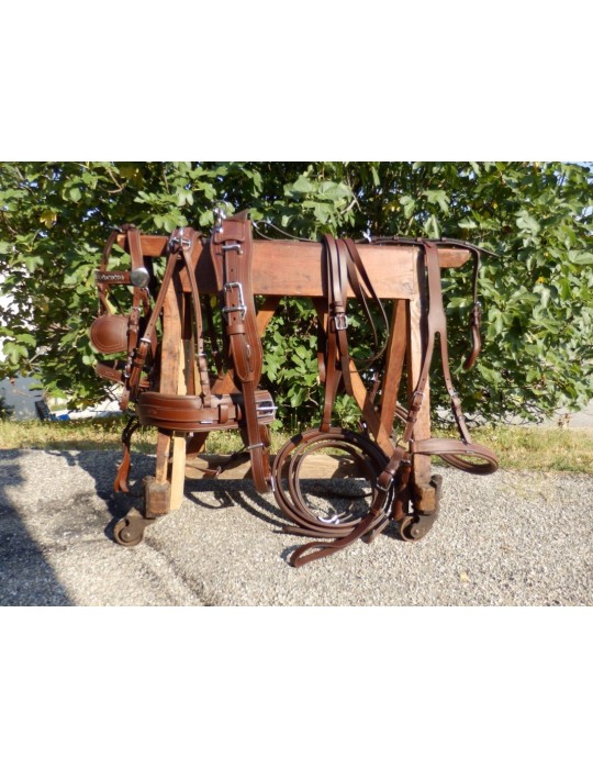 Harnais en simple en cuir huilé - SB Harnais en simple en cuir huilé - SB