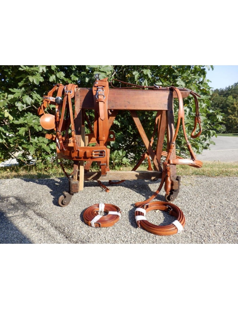 Harnais en simple de présentation - SB