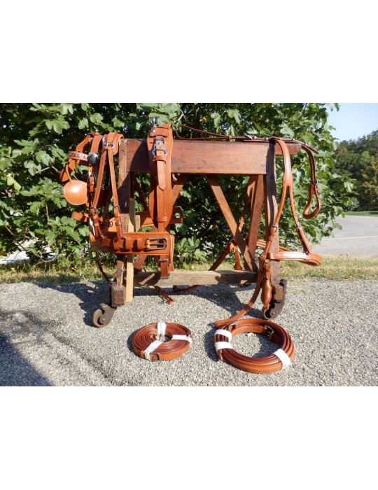 Harnais en simple de présentation - SB