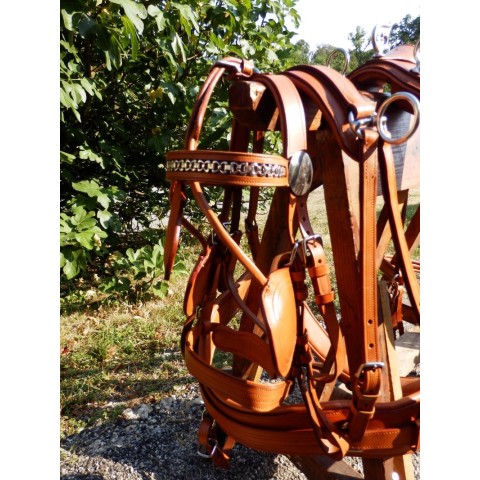 Harnais en simple de présentation - SB 2