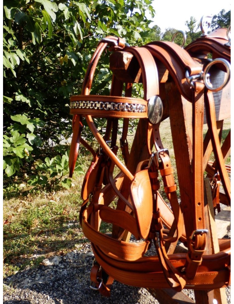 Harnais en simple de présentation - SB