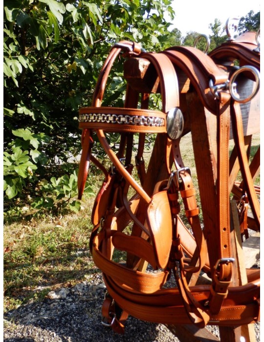 Harnais en simple de présentation - SB