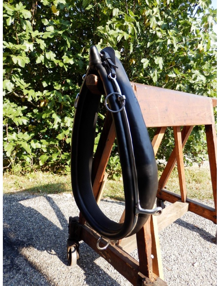 Collier anglais en biothane Collier anglais en biothane