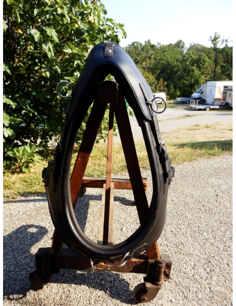 Collier bricole biothane anatomique