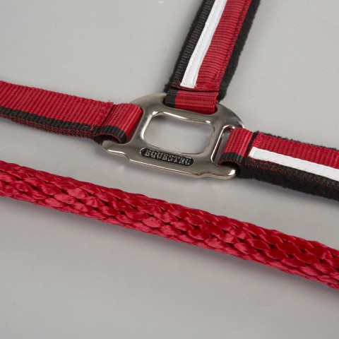Licol bordure blanche EQUESTRO
