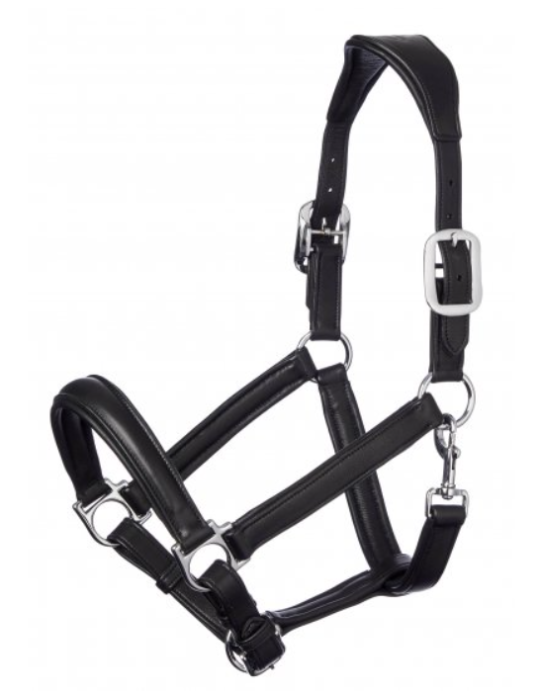 Licol Anatomic LEMIEUX Licol Anatomic LEMIEUX