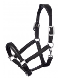 Licol Anatomic - Lemieux