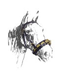 Caveçon en cuir - AMAHORSE