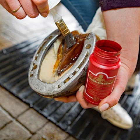 Hoof solution Kevin Bacon's 2