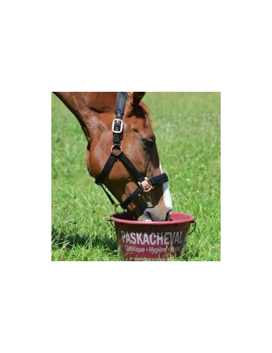 Paskabloc - PASKACHEVAL