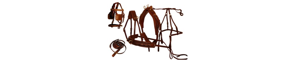 Hitch harness