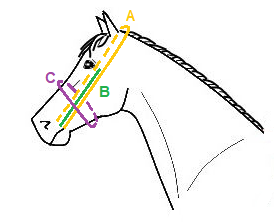 Guide complet de la selle de cheval taille 17 pouces