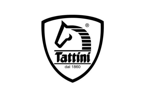 Tattini